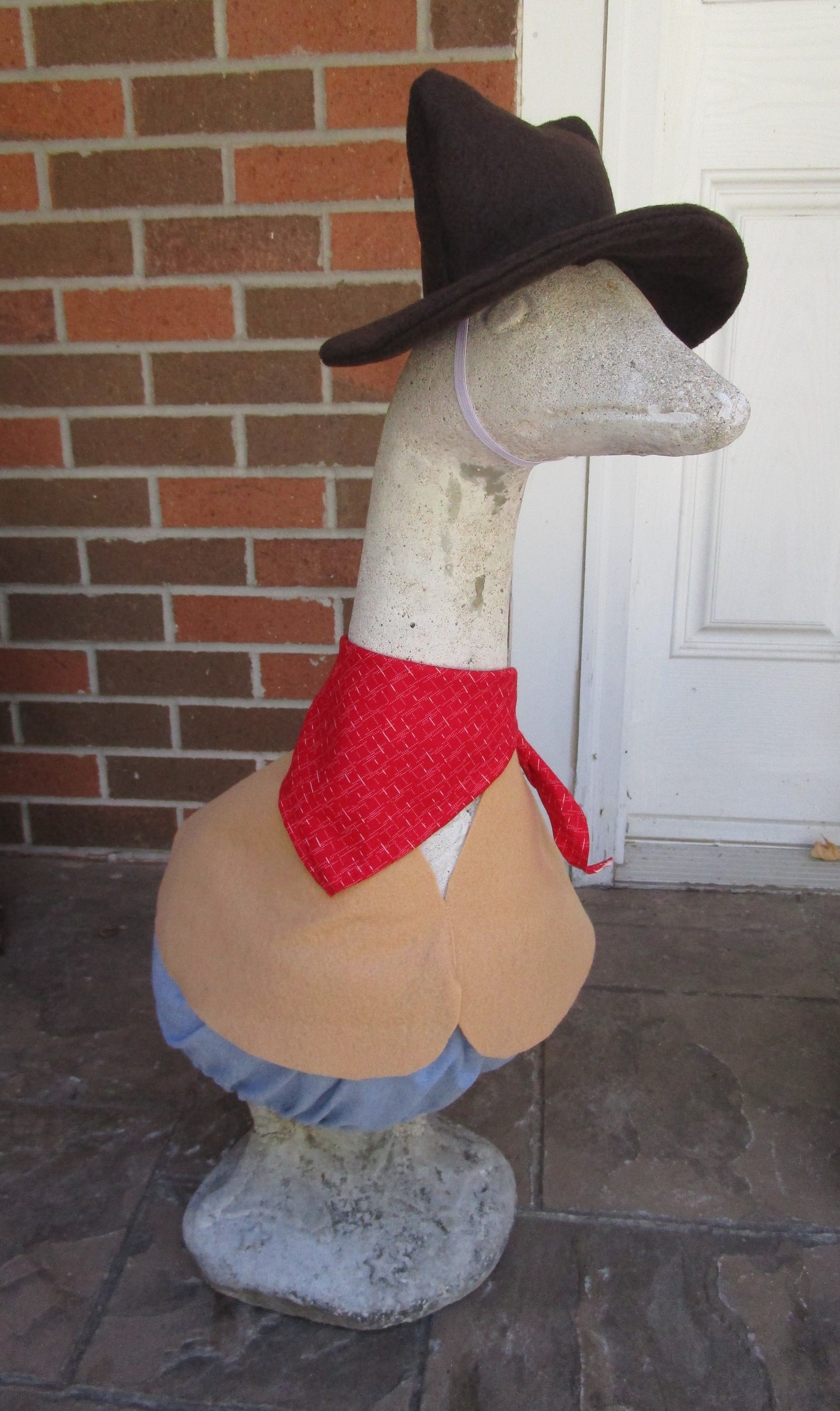 Cowboy outfit
