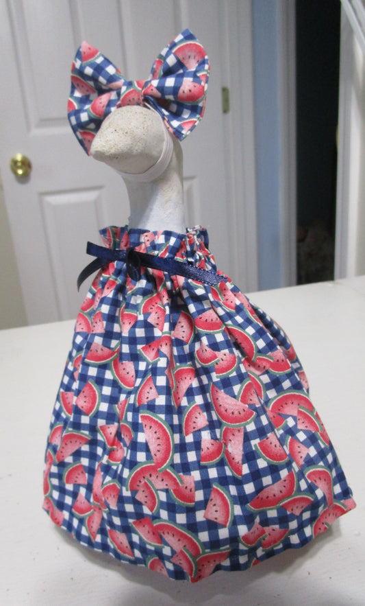 Baby Watermelon Dress and Bow