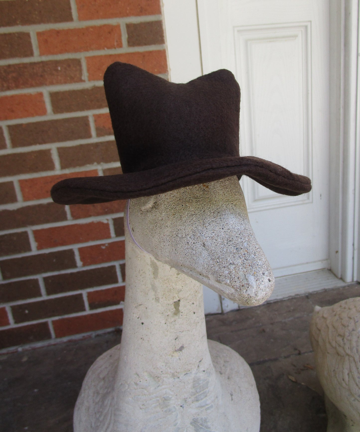Cowboy Hat