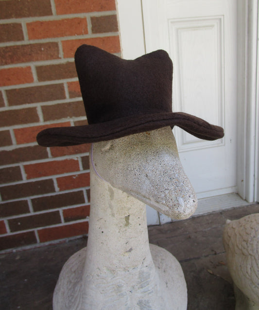 Cowboy Hat