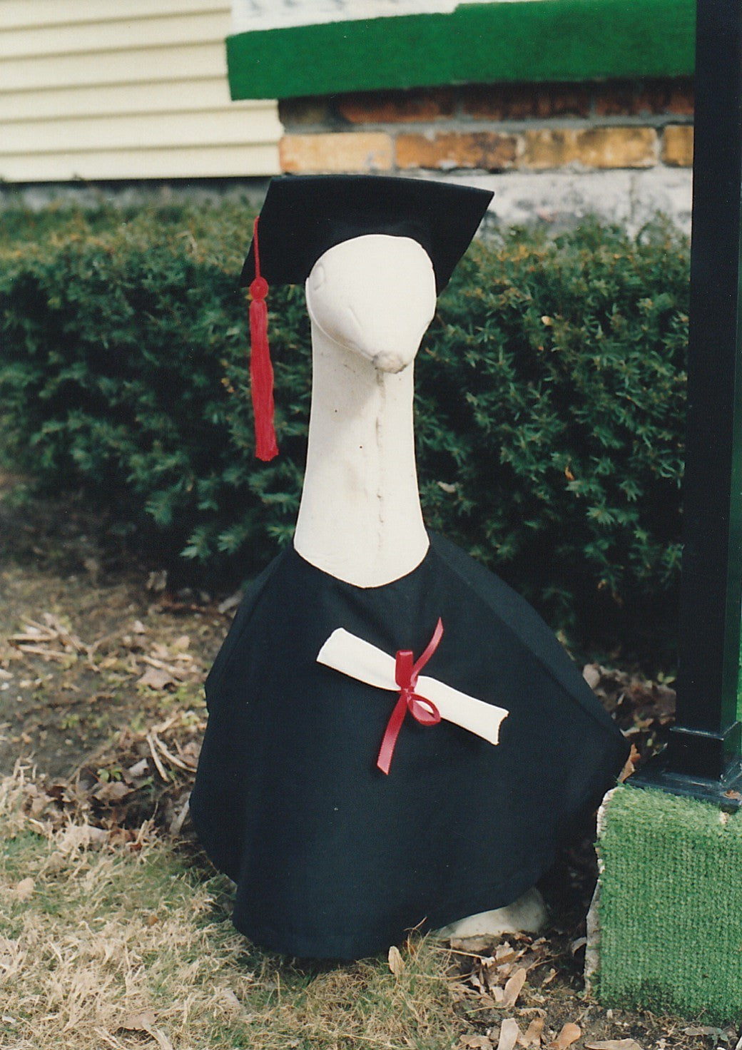 PD38 Graduate Cap & Gown