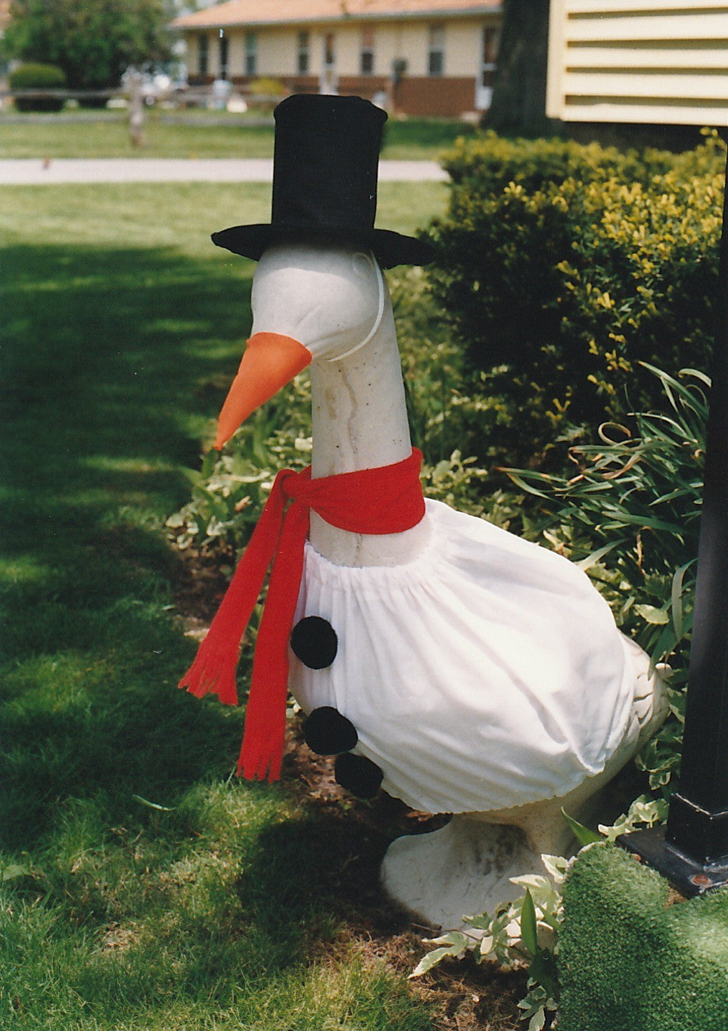 Emperor Goose Pattern Goose Patterns – Personal Designs