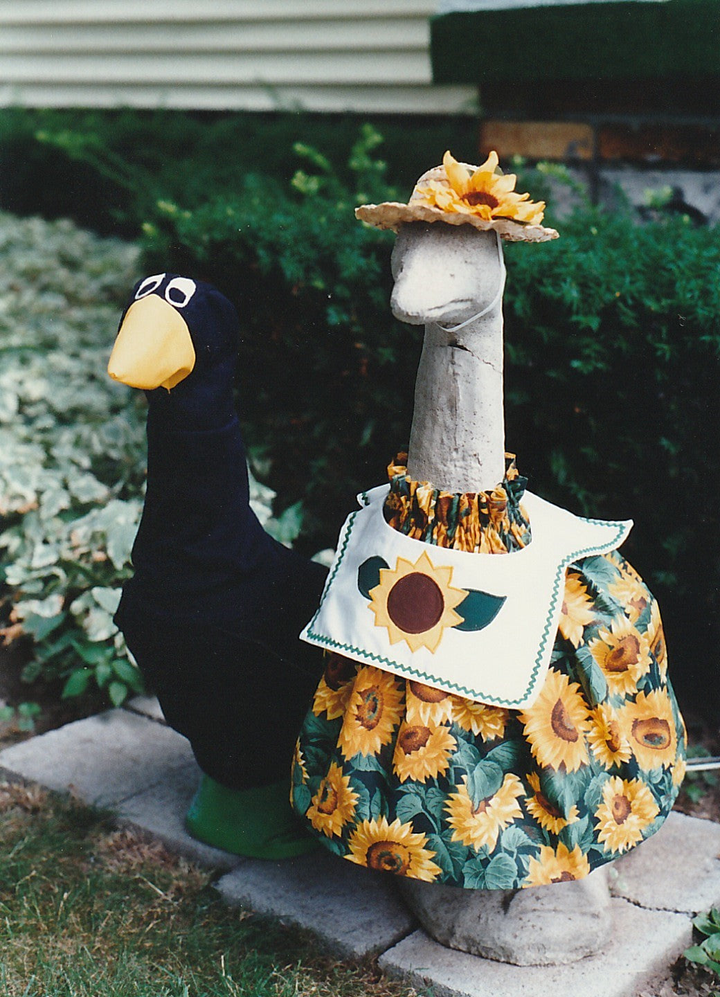 PD73 Crow and Sunflowers