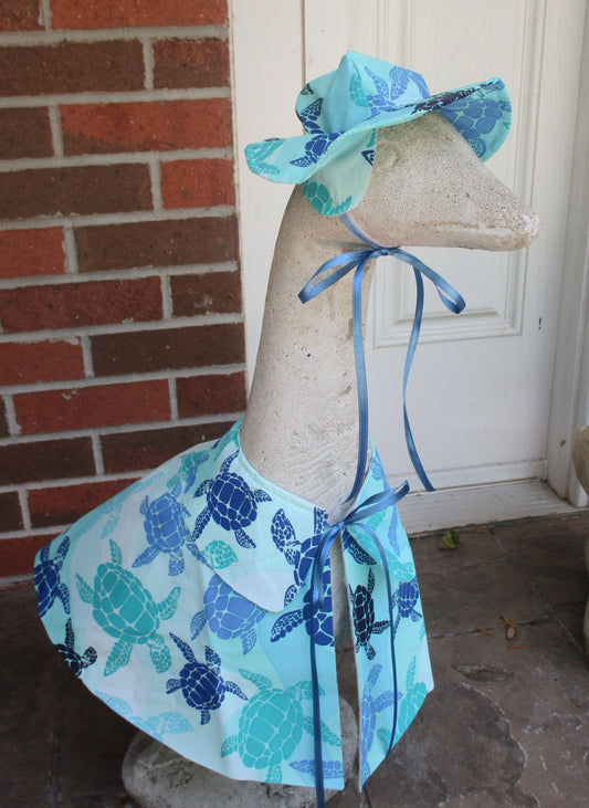 Turtle Raincoat