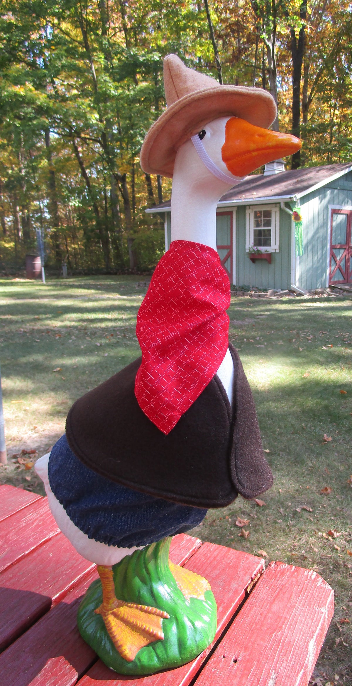 Walmart goose Cowboy outfit