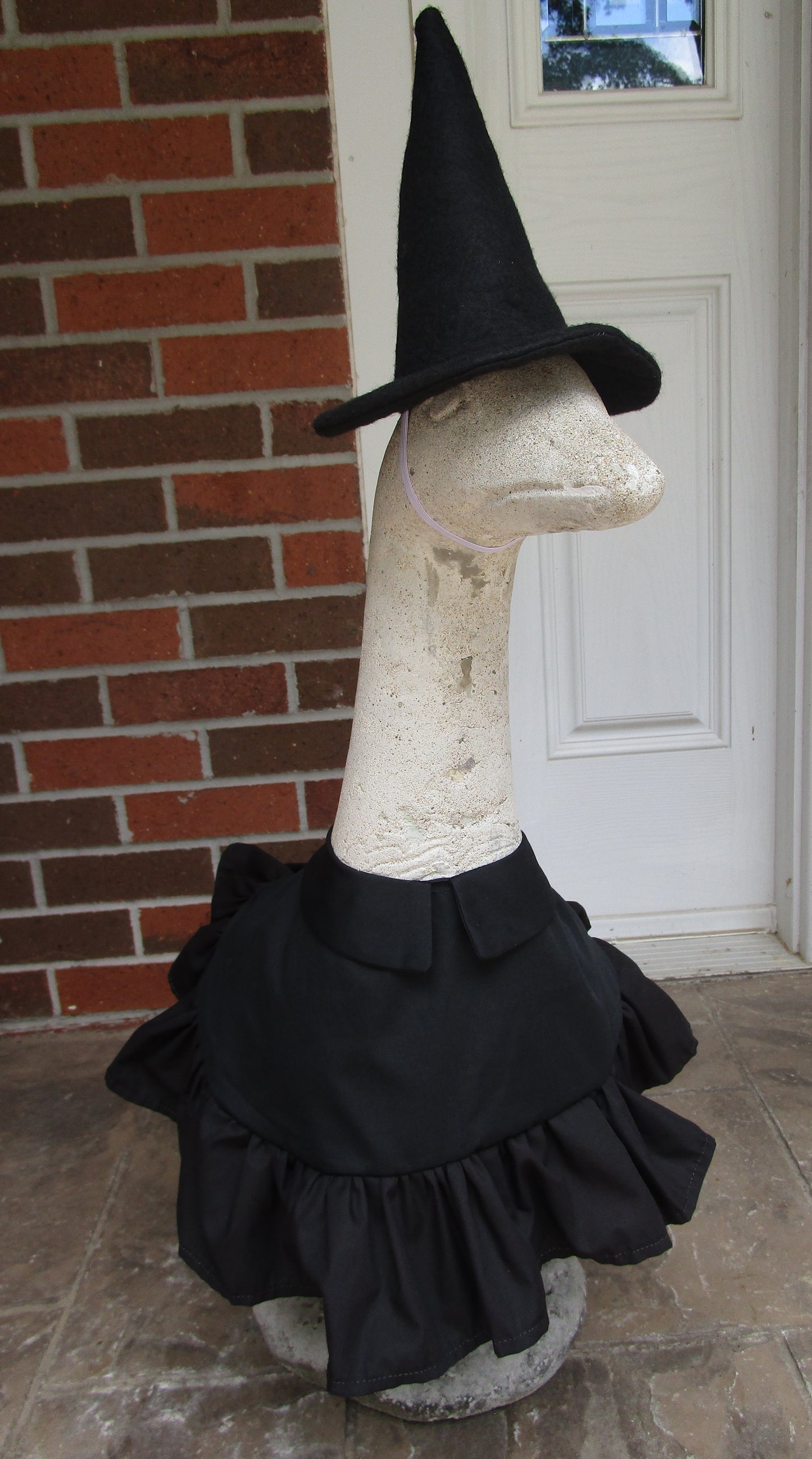Halloween Witch